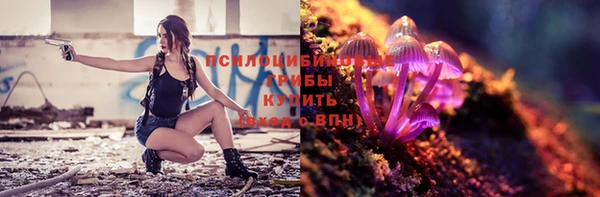 шишки Коряжма