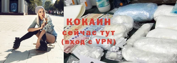 индика Краснослободск