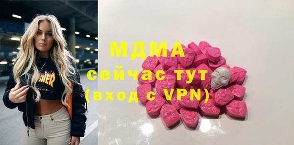 индика Краснослободск