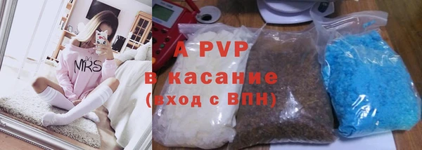 индика Краснослободск