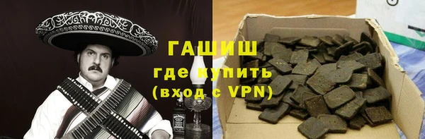 индика Краснослободск