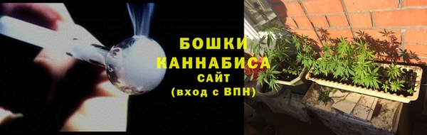 индика Краснослободск