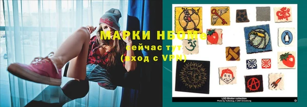 индика Краснослободск