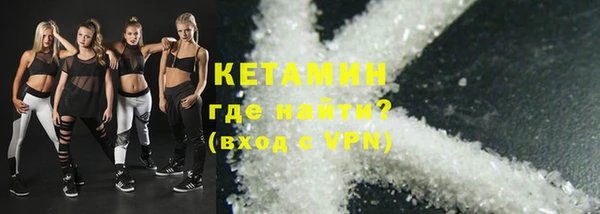 индика Краснослободск
