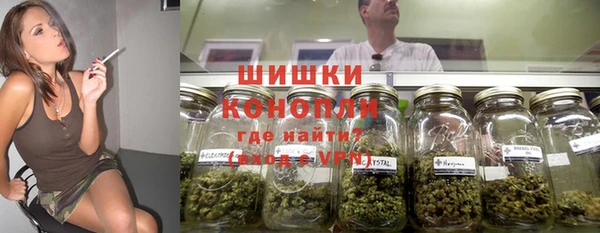 индика Краснослободск