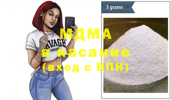 индика Краснослободск