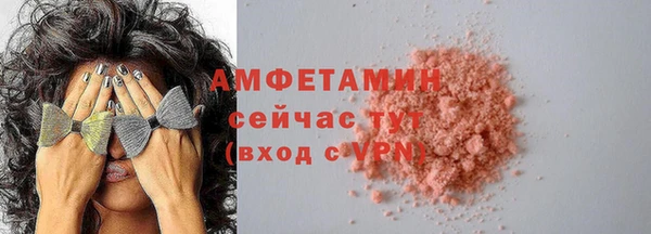 индика Краснослободск