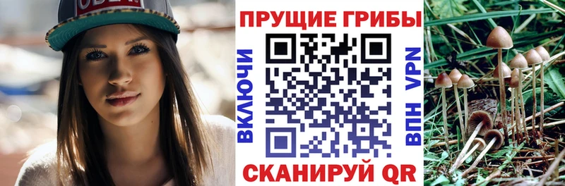 Купить закладки  Липки  Галлюциногенные грибы прущие грибы 